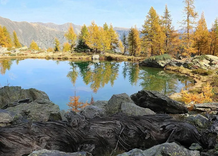 Lägenhet Casa Cavalier Peano *